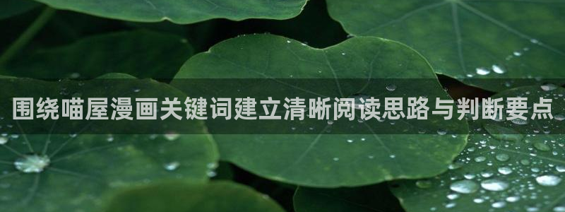 哔哩哔哩漫画:围绕喵屋漫画关键词建立清晰阅读思路与判断要点