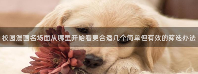 漫画在线观看：校园漫画名场面从哪里开始看更合适几个简单但有效的筛选办法